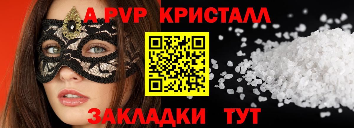 Alfa_PVP СК КРИС Горно-Алтайск