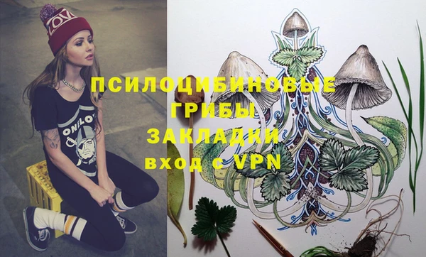 ешки Белокуриха