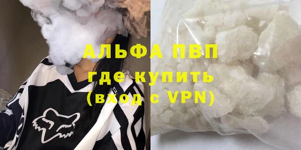 ешки Белокуриха