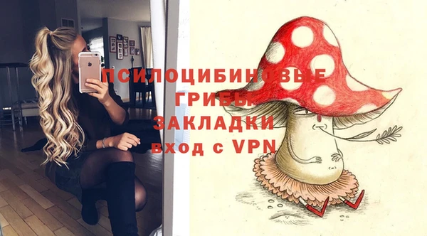 apvp Беломорск
