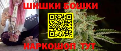 сатива Малгобек
