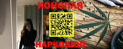 сатива Малгобек