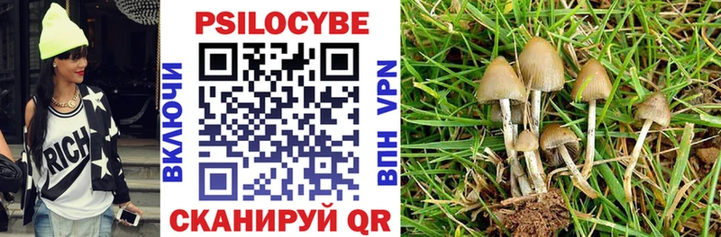 магазин продажи наркотиков Горно-Алтайск Галлюциногенные грибы MAGIC MUSHROOMS