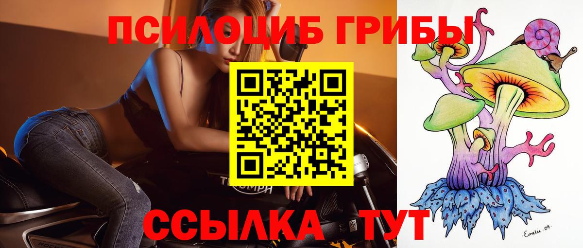 наркотики  Вход с VPN  Горно-Алтайск  Галлюциногенные грибы мухоморы  Галлюциногенные грибы мухоморы 