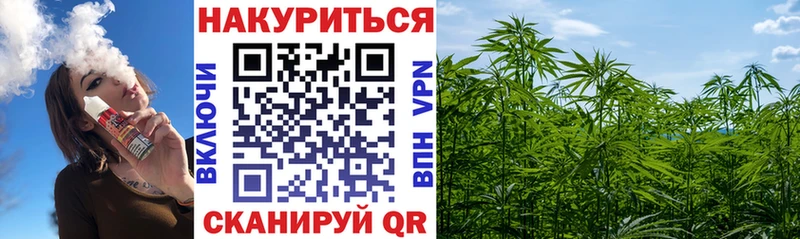 Марихуана планчик Горно-Алтайск
